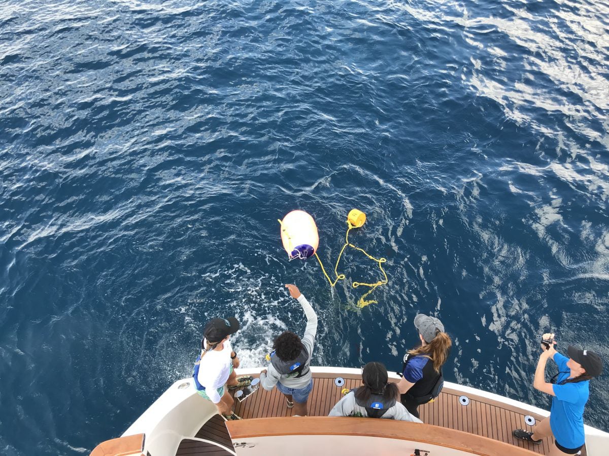 EXP 27: Students toss out the buoy line. The buoy is the last item deployed on the drum line and allows scientists to see and recover the line later to check if there is a shark on the line; PC: Cammey Rich