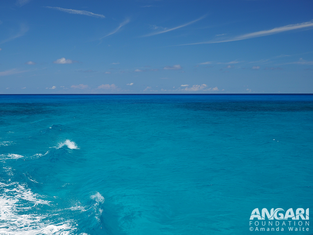 The beautiful colors of the water in transit to the Florida keys.