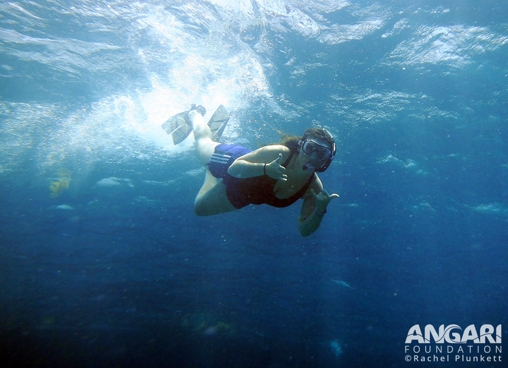 Intern Cammey Rich enjoys some free time snorkeling at Carysfort Reef in the Florida Keys for Coralpalooza.