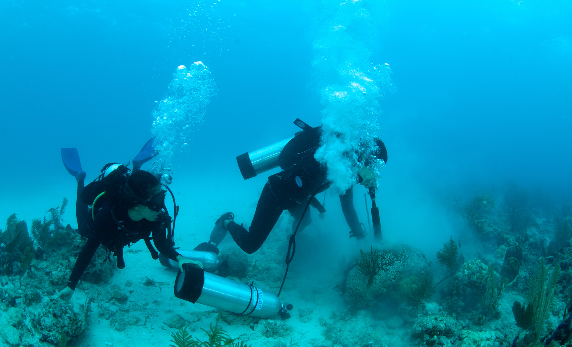 Generation Ocean: Coral Reefs 360 Film