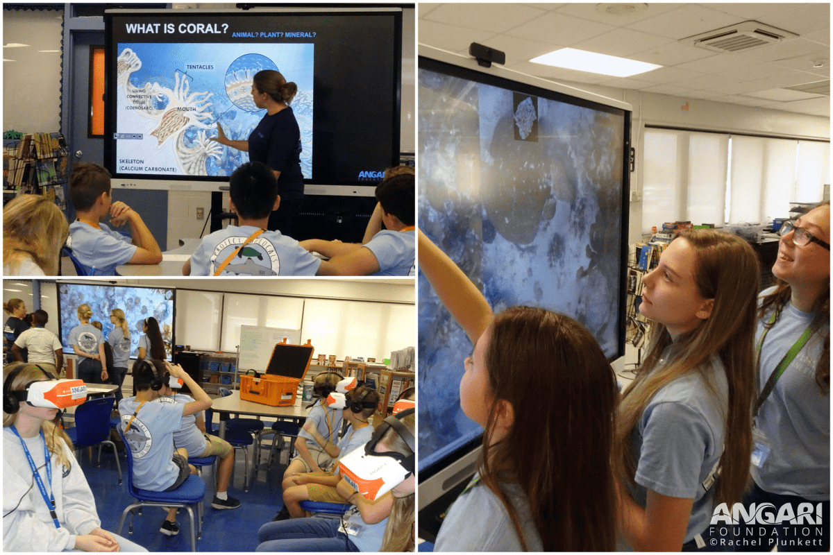 Wellington students learn how scientists study coral reef health through immersive activities