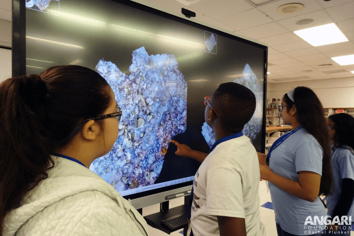 Students investigate reef health and look for signs of coral bleaching using photomosaic imagery