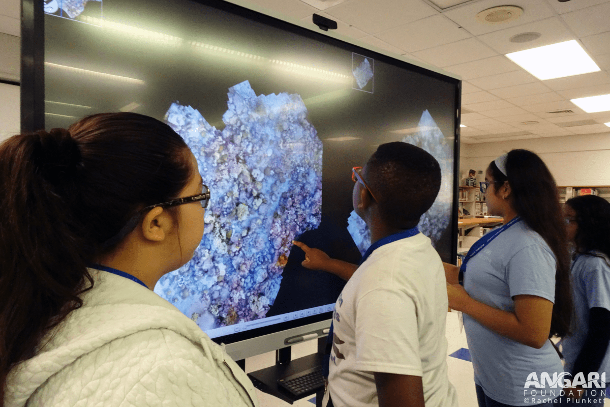 Students Investigate Reef Health And Look For Signs Of Coral Bleaching Using Photomosaic Imagery