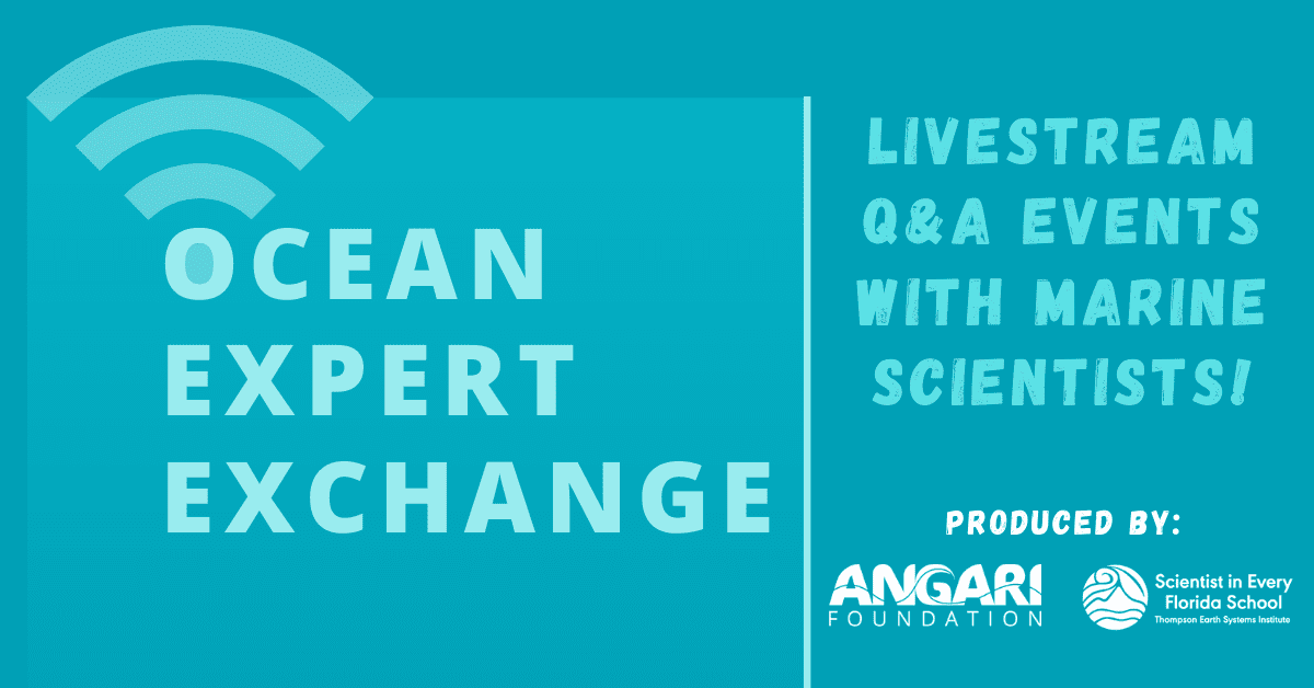 Ocean Expert Exchange Cover Photo