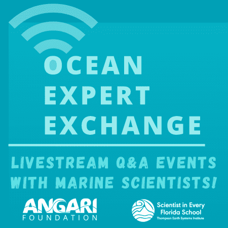 Ocean Expert Exchange With SEFS