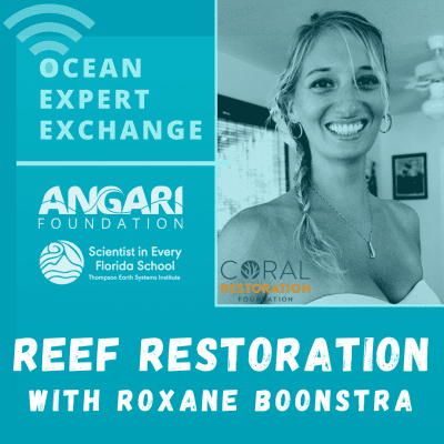 OEE coral restoration with Roxane Boonstra of Coral Restoration Foundation