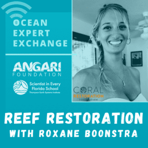 OEE coral restoration with Roxane Boonstra of Coral Restoration Foundation