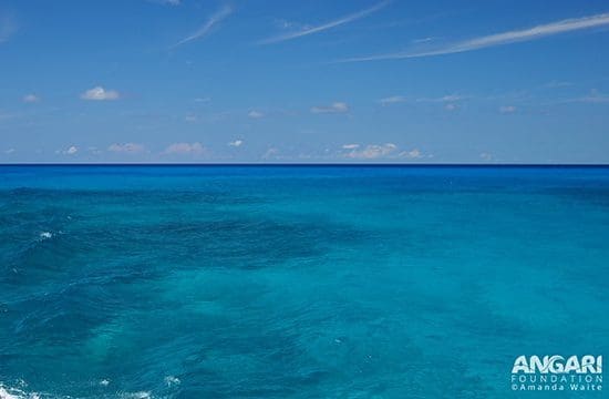 The beautiful colors of the water in transit to the Florida keys for Coralpalooza..