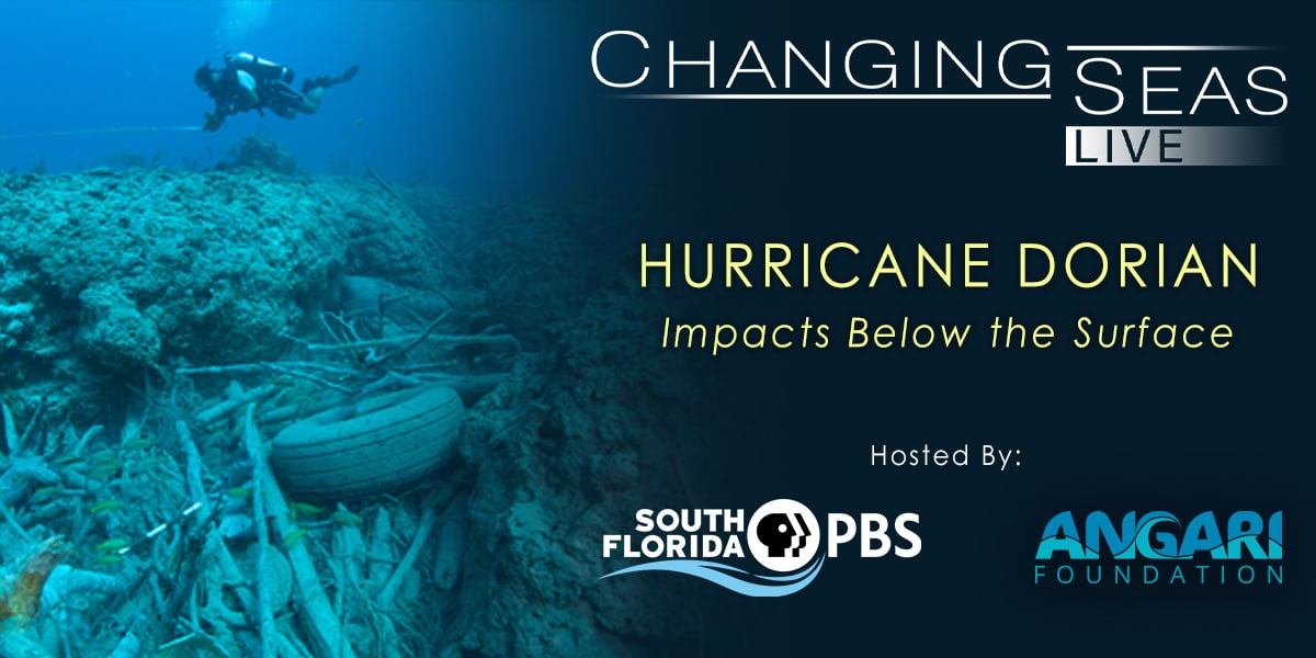 Hurricane Dorian ANGARI-PBS Event