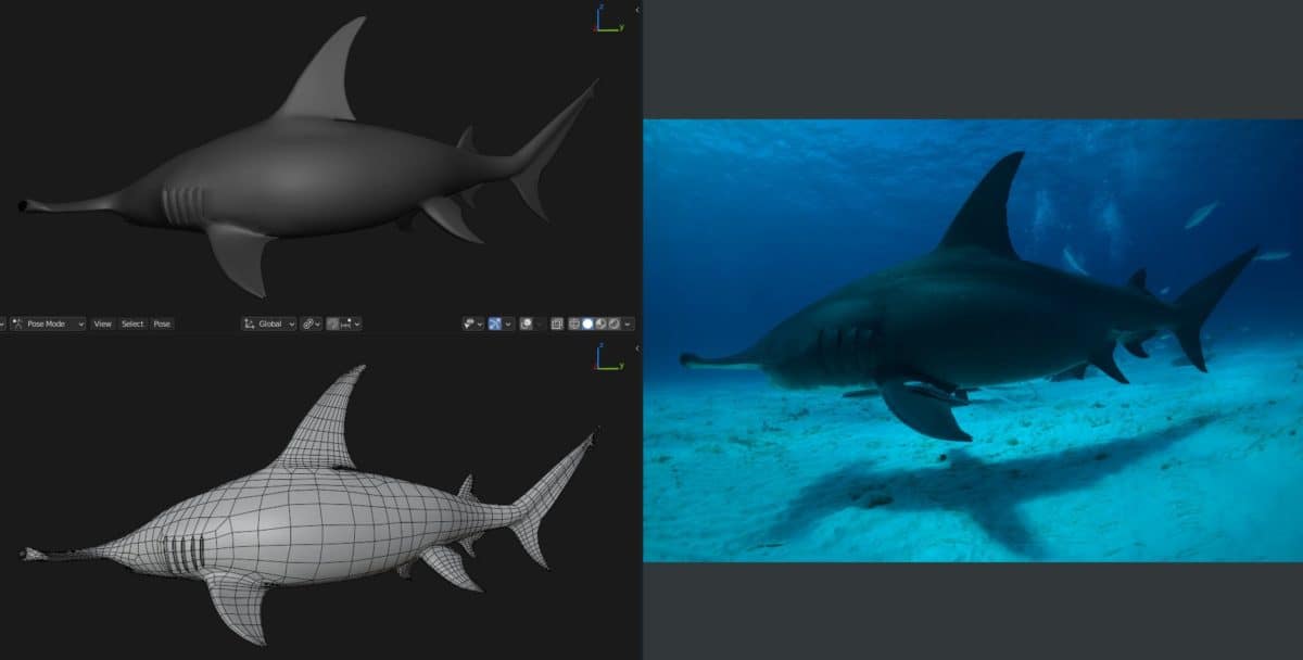 Hammerhead SHark - Blender 3D Models : Blender 3D Models