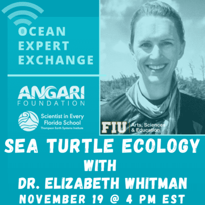 OEE Sea Turtle Ecology