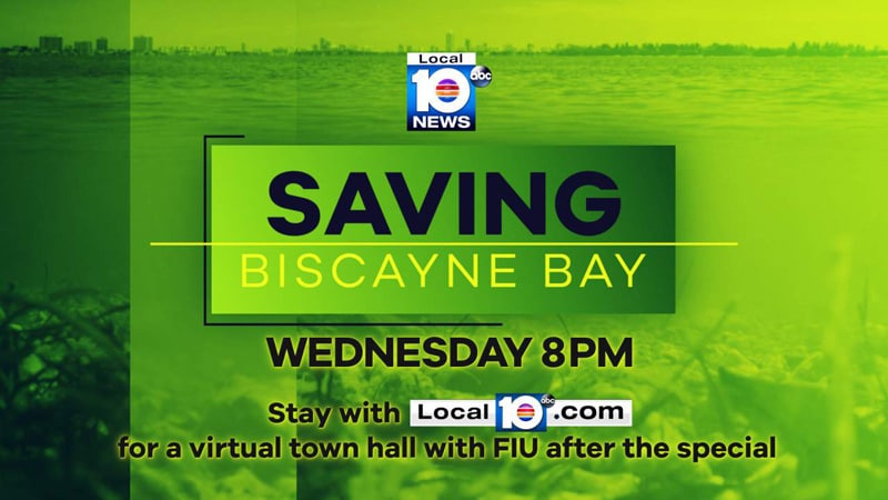 Saving Biscayne Bay ABC10 FIU 