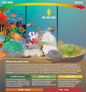 Coral Reef Report Infographic Thumbnail