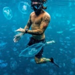 Free diver with Moon Jellyfish