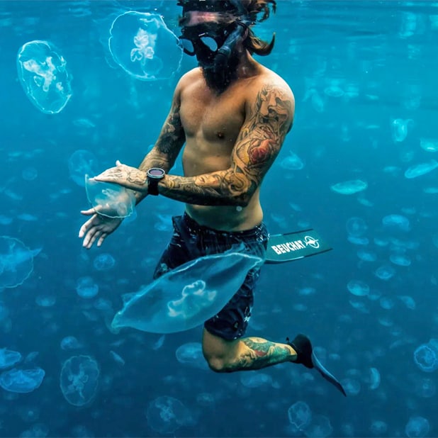 Free diver with Moon Jellyfish
