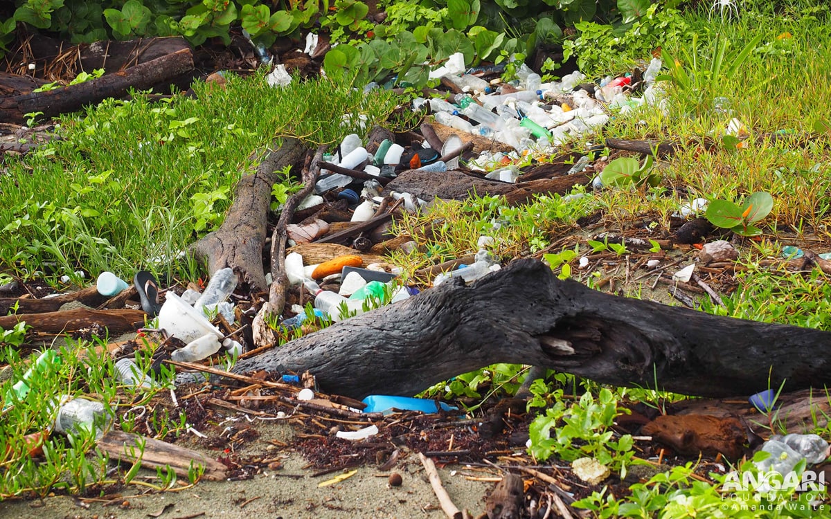 Plastic pollution on the beach - Photo by ANGARI Foundation