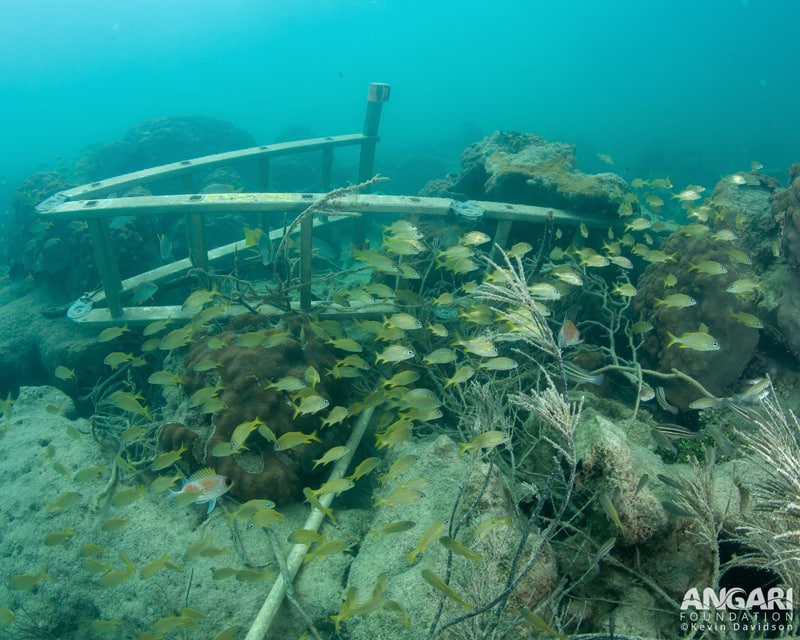 R/V ANGARI ocean research Abaco coral reef after Hurricane Dorian