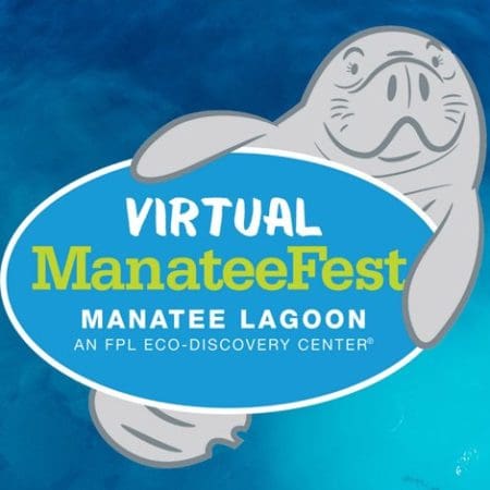 ManateeFest - Feb 2021