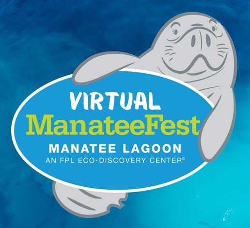 ManateeFest - Feb 2021