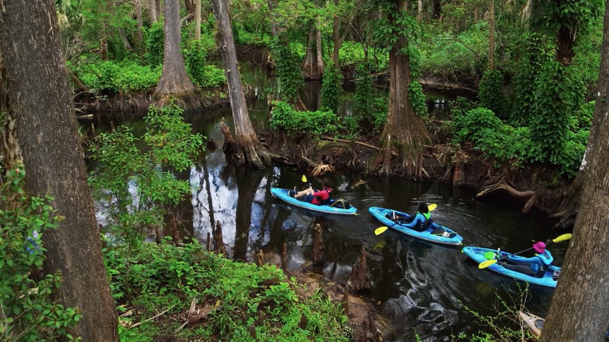 Swamp To Sea Adventure Hidden Wild