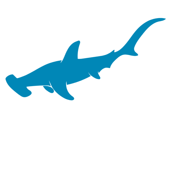 ANGARI blue hammerhead shark
