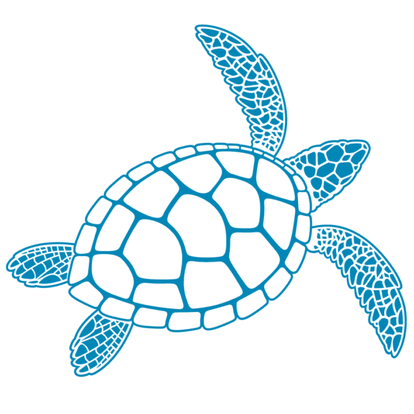 ANGARI blue sea turtle