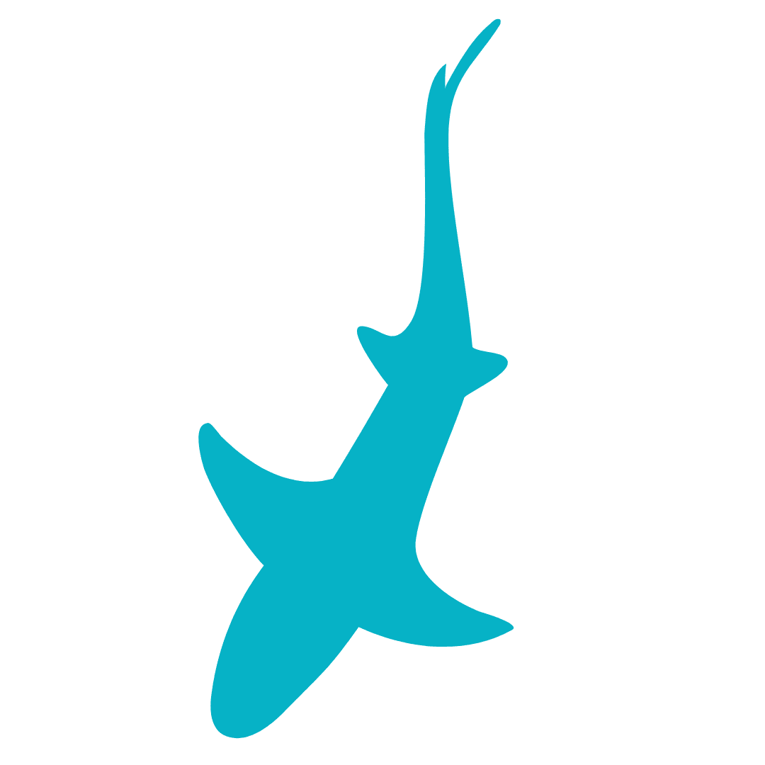 ANGARI Light Blue Shark