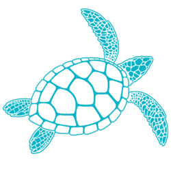 ANGARI Light Blue Sea Turtle