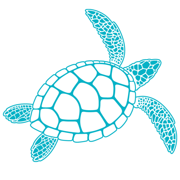 ANGARI light blue sea turtle