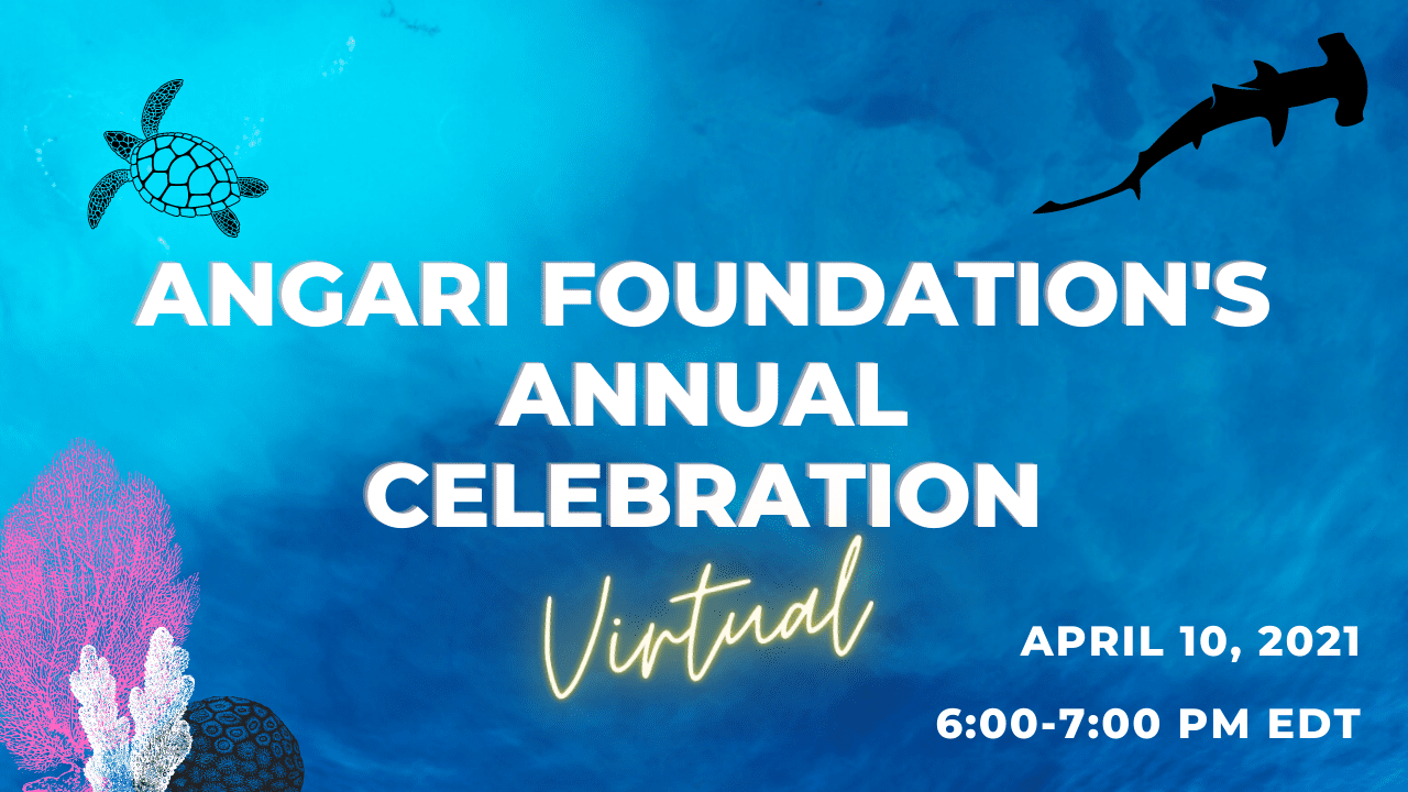 ANGARI Foundation Annual Celebration 2021 Feature Image