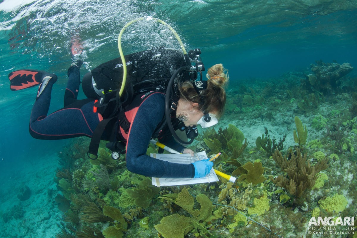 EXP 37: Lily Haines records data during her underwater survey of this reef ecosystem. PC: Kevin Davidson