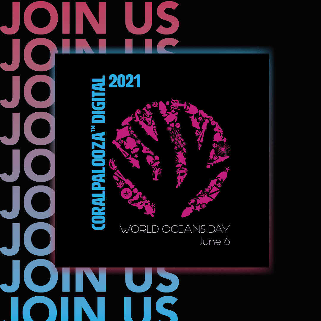 Coralpalooza Digital 2021 Logo - Join Us