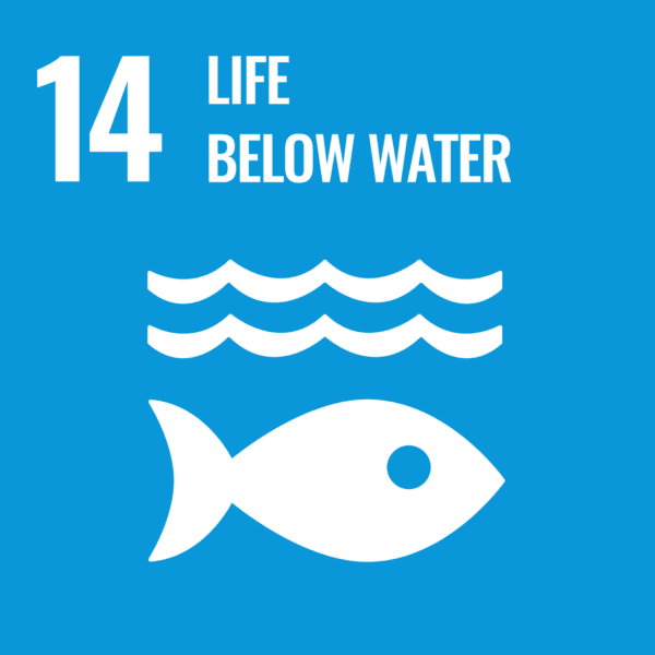 United Nations Sustainable Development Goal 14 thumbnail - Life Below Water