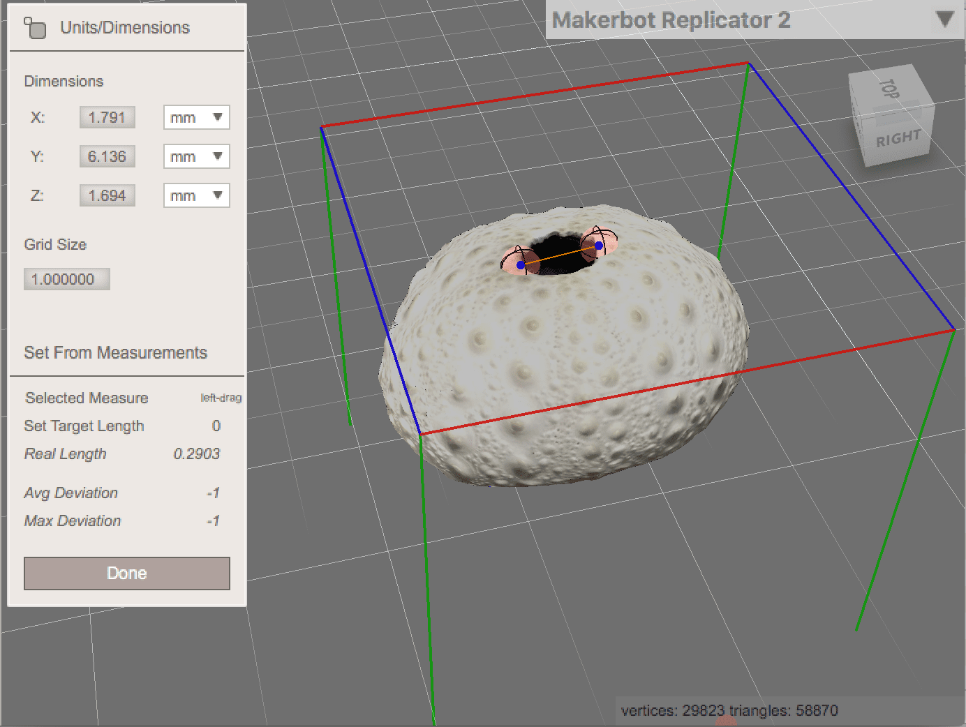 Sea Urchin 3D Model In Software