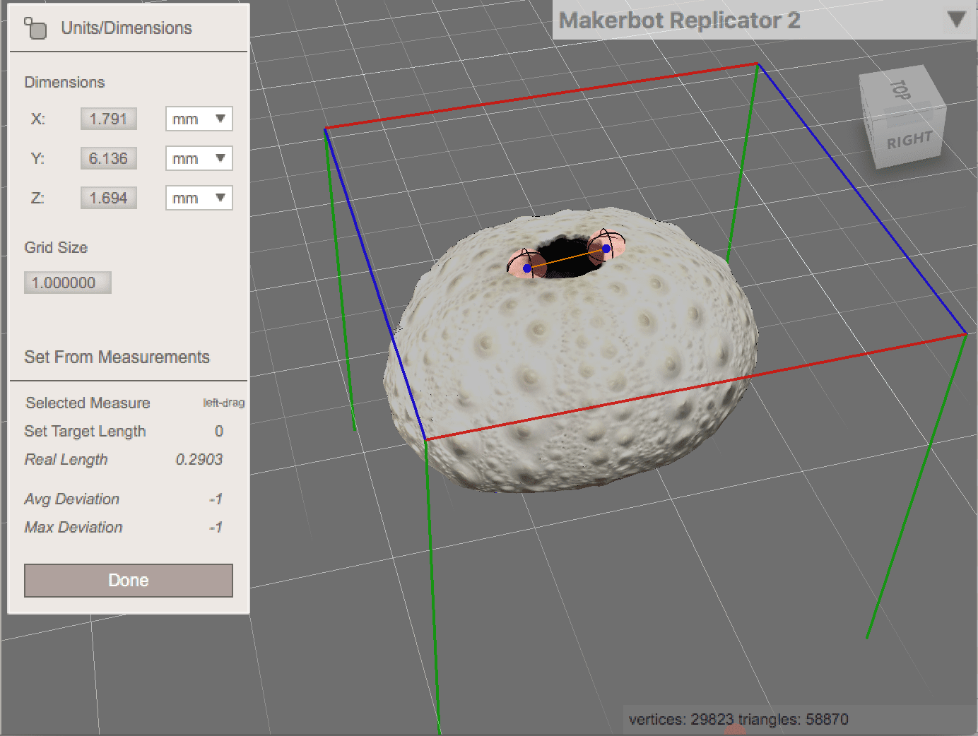 sea urchin 3D model in software