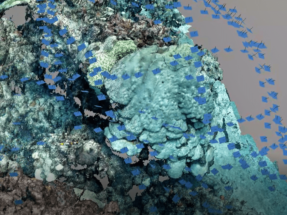 Coral Reef Photogrammetry From Perry Institute For Marine Science