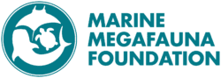 Marine Megafauna Foundation