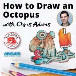 How To Draw an Octopus with OctoNation