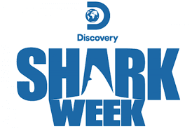 Discovery Shark Week Logo