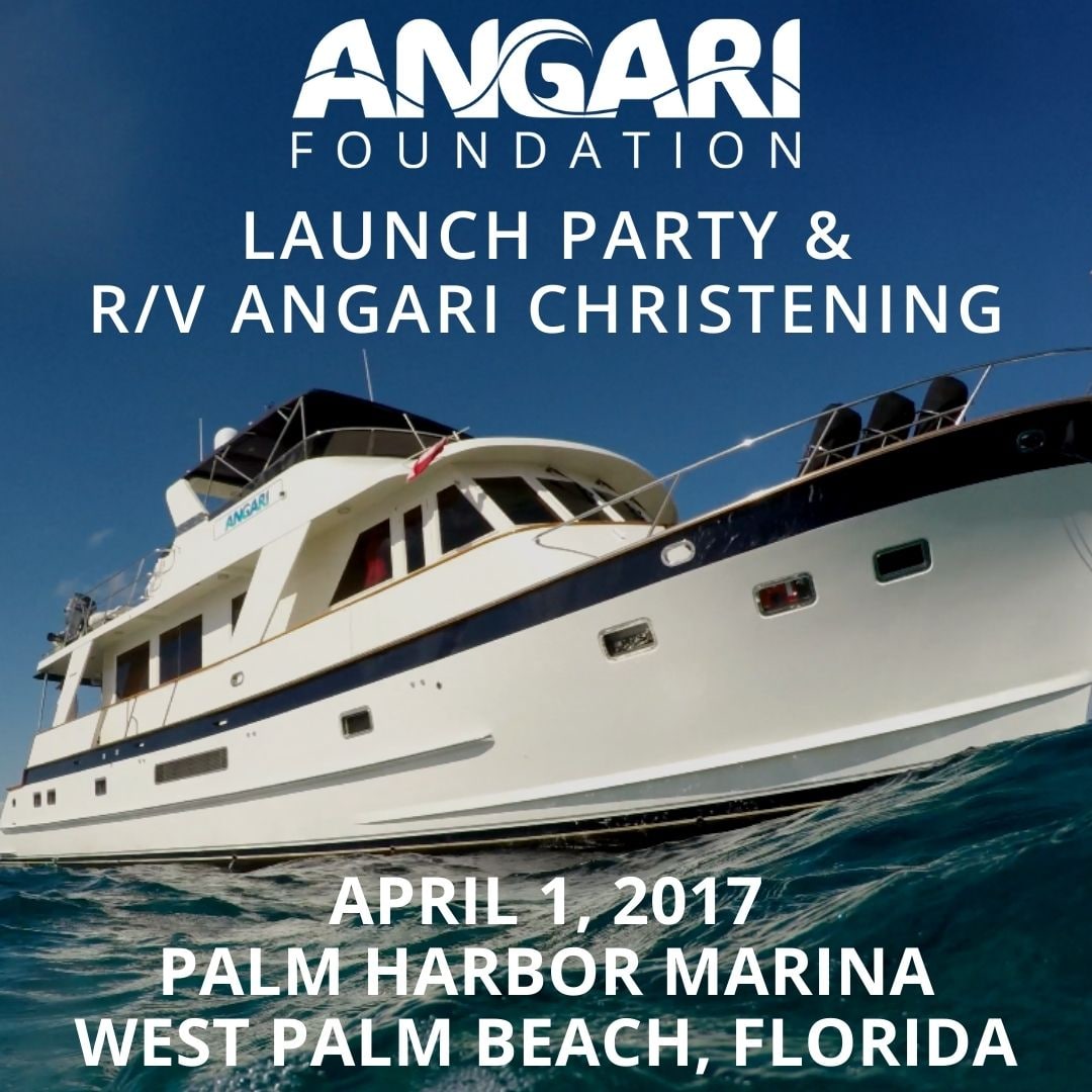 ANGARI Launch Party 2017 Event Thumbnail