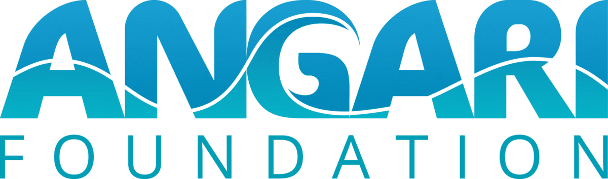ANGARI Foundation gradient logo