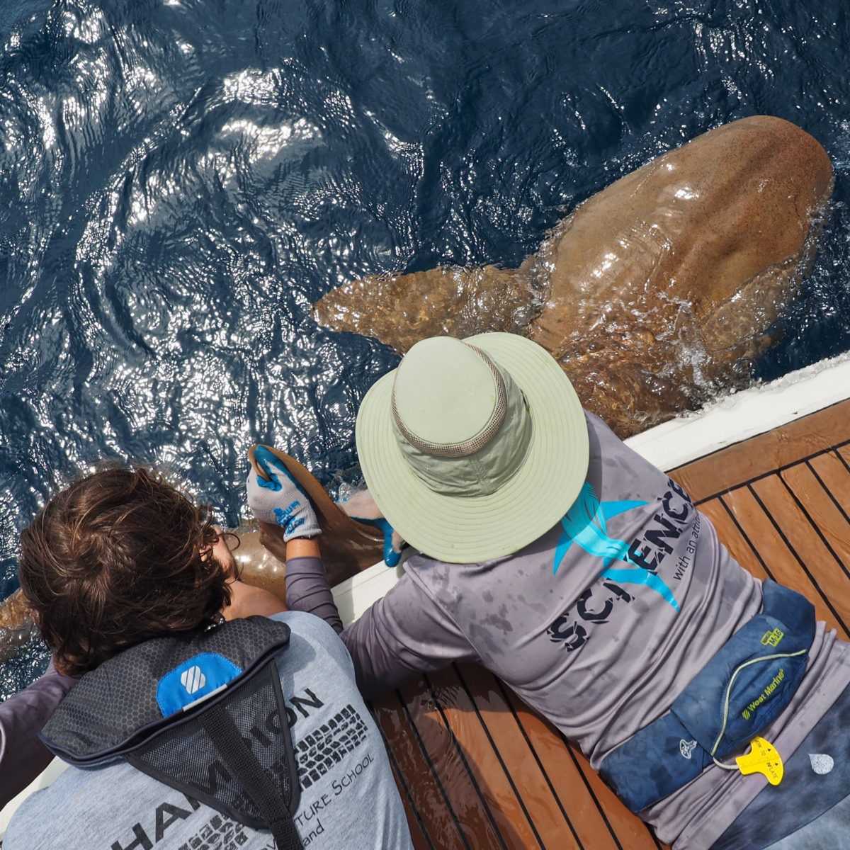 R/V ANGARI EXP 45: Coastal Ocean Explorers Sharks with Palm Beach Day Academy