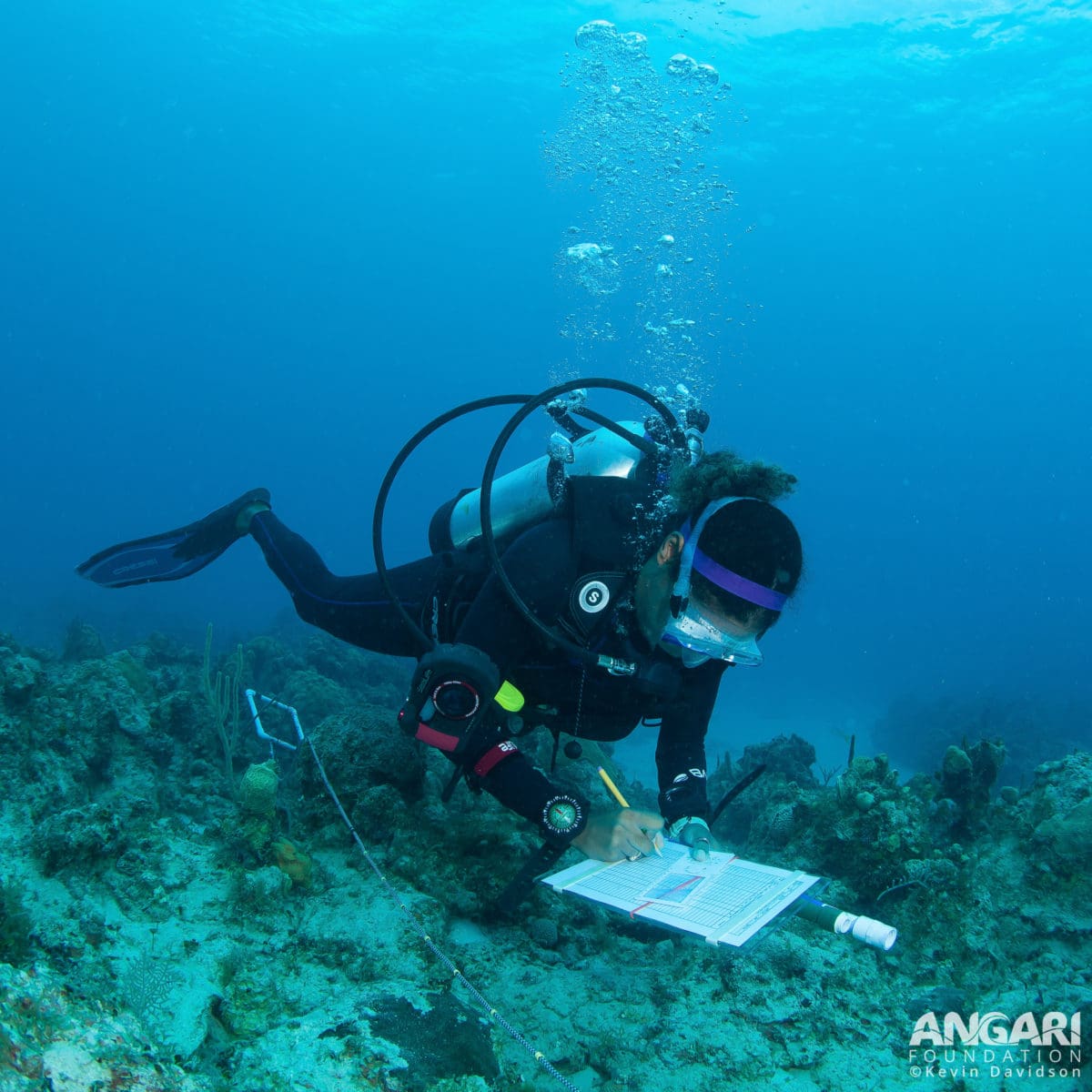 AGRRA surveys in The Bahamas. PC: Kevin Davidson