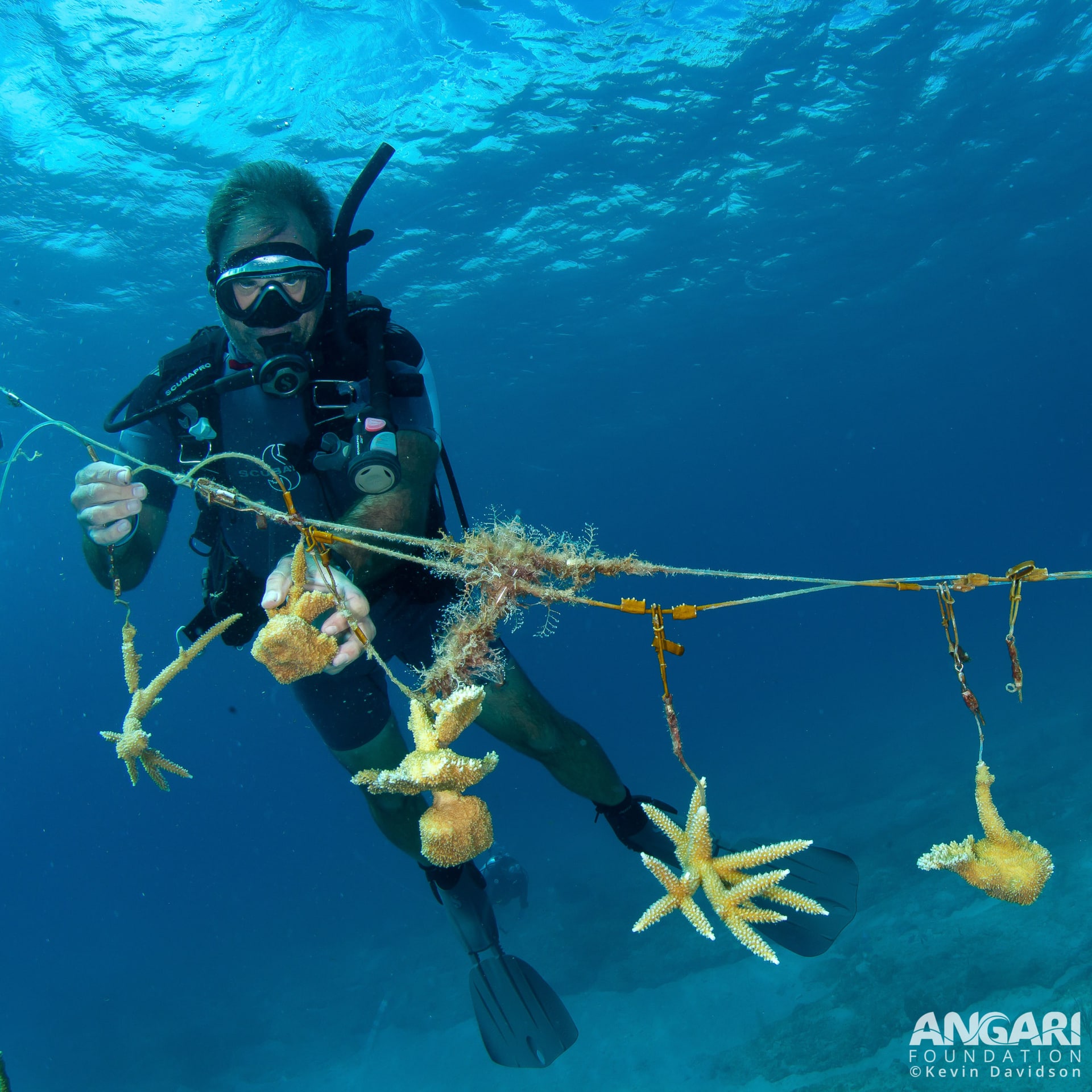 Fixing a Reef Rescue Network coral nursery that was damaged in recent a storm. PC: Kevin Davidson
