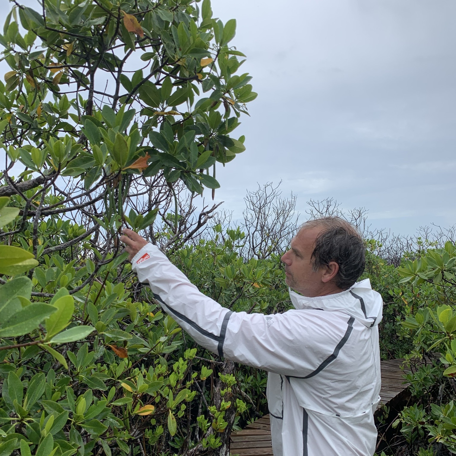 Just over a year after Hurricane Dorian, I am inspecting the mangroves that were damaged by the severe Category 5 storm.
