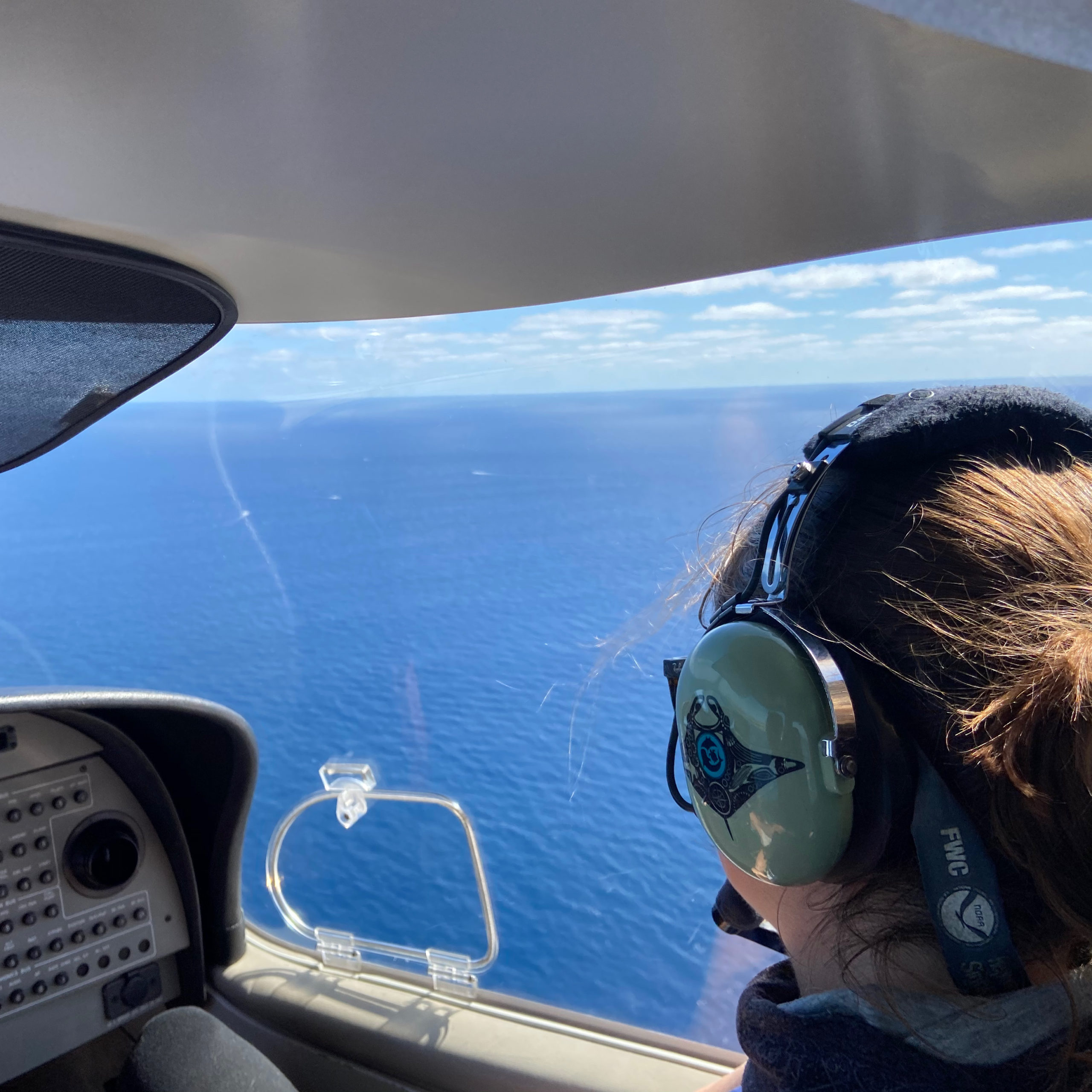 Flying in a small airplane looking for manta rays. I conduct aerial surveys twice a month to look for manta rays along the Florida coastline!