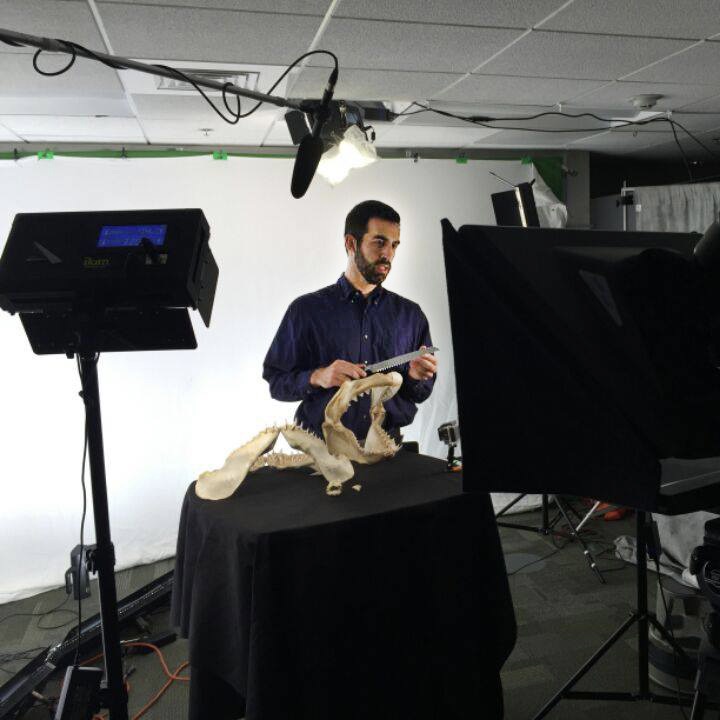 Recording a video about the form and function of shark jaws for the massive open online course (MOOC) on shark biology that I co-lead and has reached more than 35,000 students across more than 170 countries.