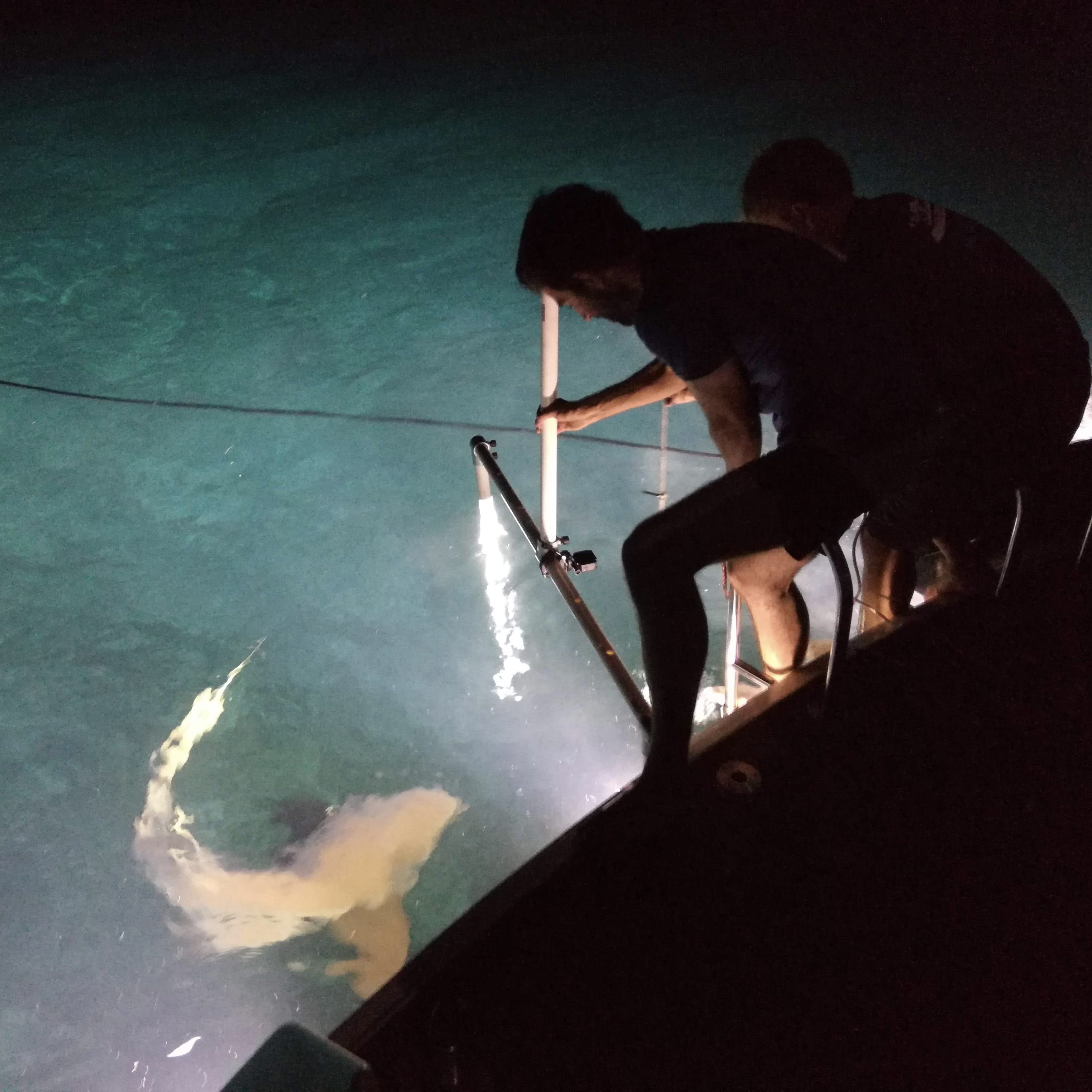Working late into the night collecting data. PC: Annabelle Brooks.