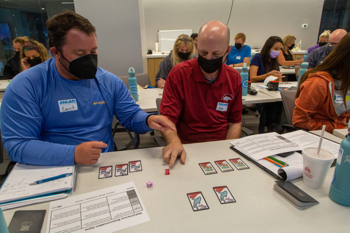 Teachers explore the bioaccumulation of mercury in sharks through an educational game developed for K-12 classrooms.