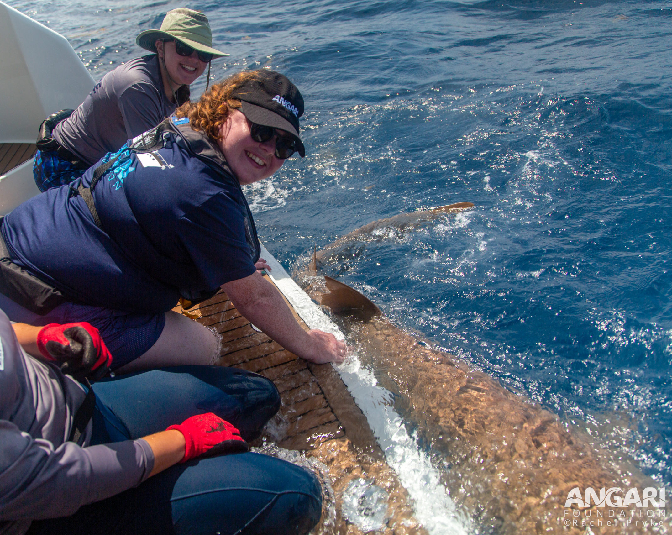 Intern Laura with a nurse shark